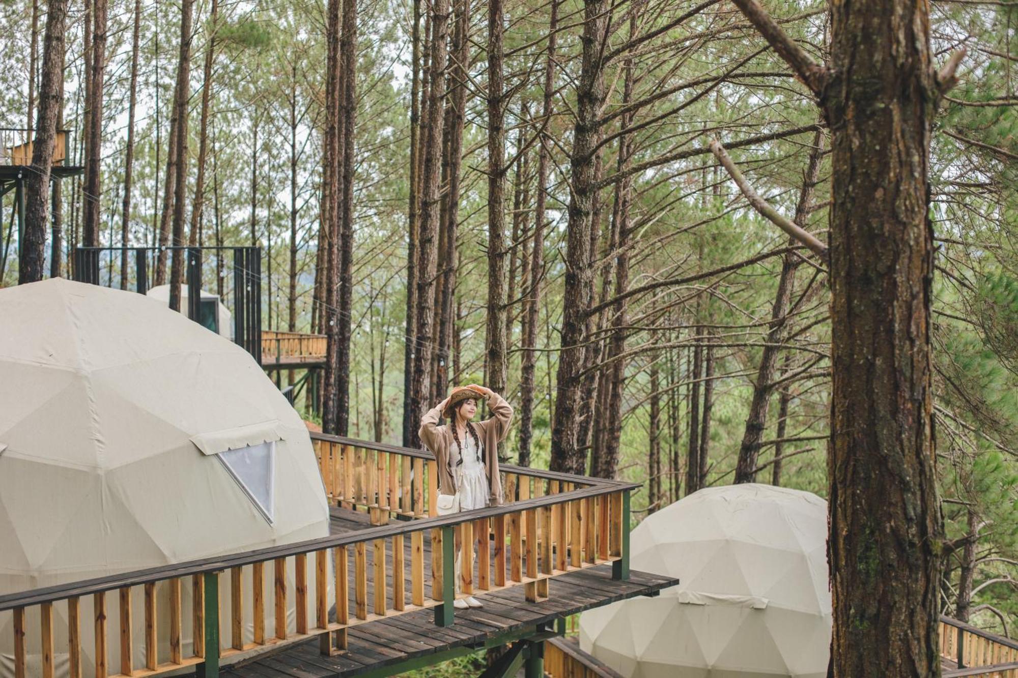 Lavender Dalat Hotel And Resorts Exterior photo