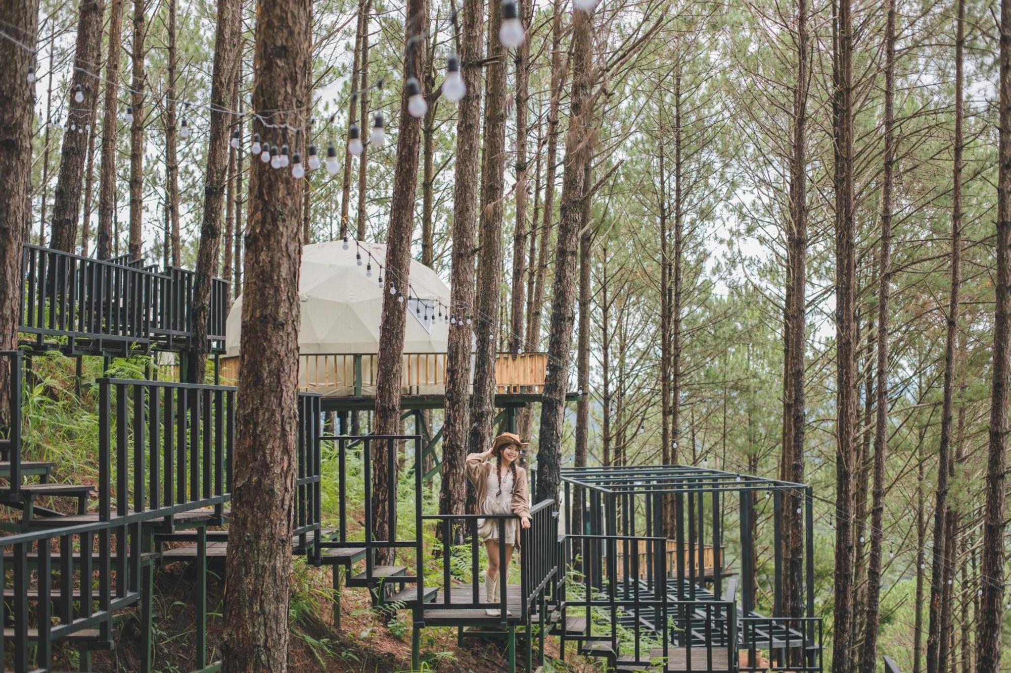 Lavender Dalat Hotel And Resorts Exterior photo