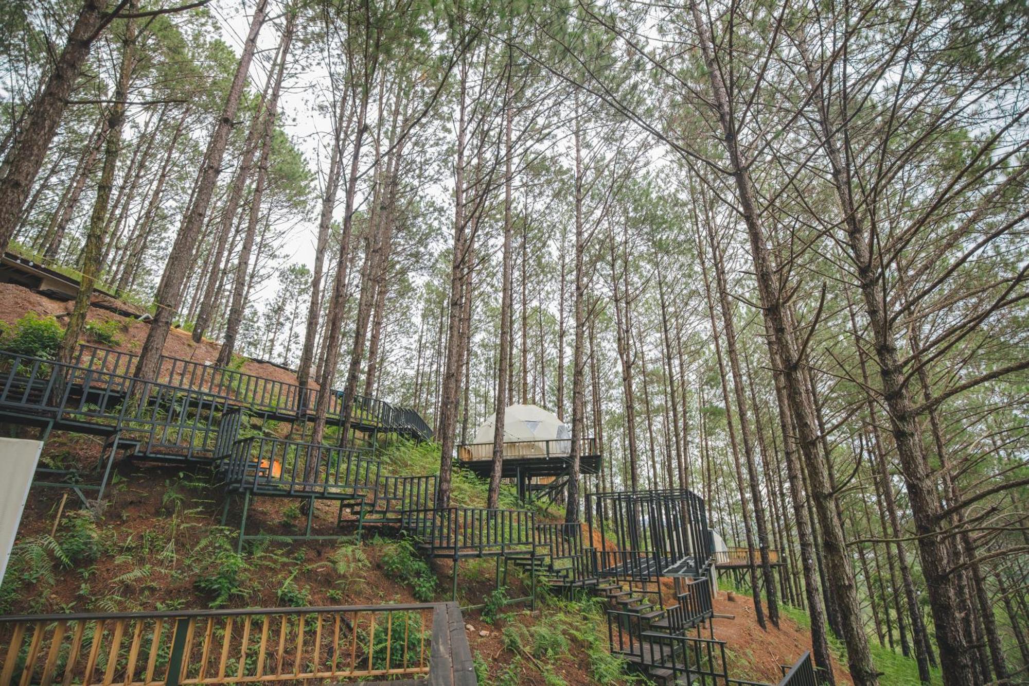 Lavender Dalat Hotel And Resorts Exterior photo