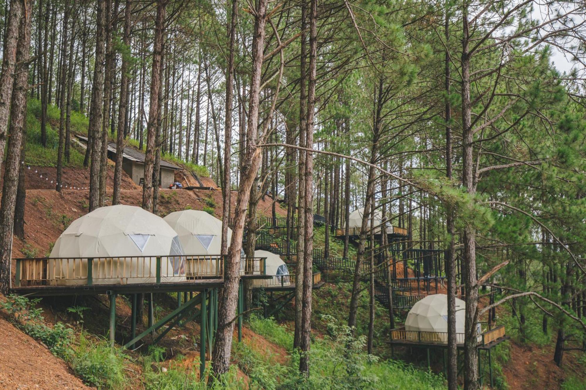 Lavender Dalat Hotel And Resorts Exterior photo